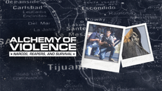 Border expert: 'Terrorist' labels for Mexican drug cartels long overdue