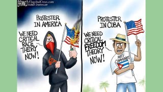 Political cartoon of the day: Highly 'critical'