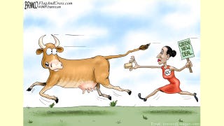 Best of political cartoons: AOC's solution to methane problems