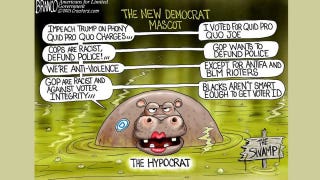 Political cartoon of the day: Dems new credo