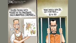 Best of political cartoons: Eye of the beholder