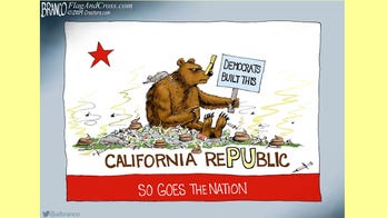 Best of political cartoons: Gold Coast loses its shine