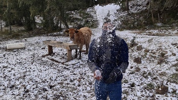 Brazil cold snap gives rare chance for snowmen and snowballs