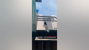 Whale slams into fishing boat, knocking passenger into water and leaving hole in the hull