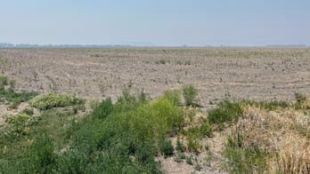 Farmers hit by droughts, outdated environmental policies: 'Do we not matter?'