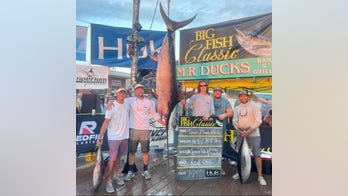301-pound swordfish sets new record in Maryland