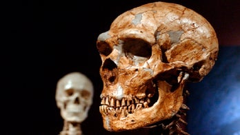 Just 7% of our DNA is unique to modern humans, study shows