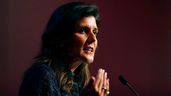 Nikki Haley slams critical race theory, says America should not be 'divided by different shades of color'