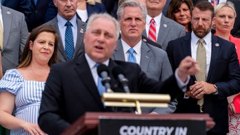 Steve Scalise pledges support for Kevin McCarthy as House Speaker if GOP flips chamber: 'He'll win'