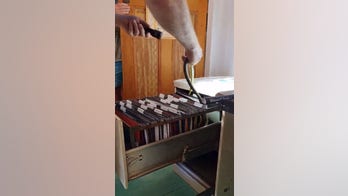 Snake hiding in filing cabinet surprises homeowner