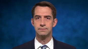 Border crisis 'about to get a lot worse' if Dems push 'massive amnesty' plan: Tom Cotton