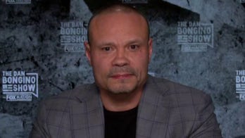 Bongino: Democrats have a 'love affair with lying,' need to 'tell the American people the truth'