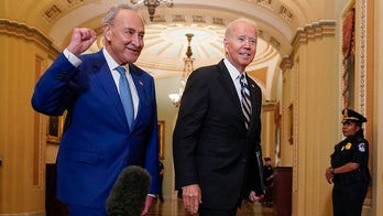 Schumer silent as worries over Biden’s fitness swell in Senate