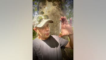 Man finds 'witch bottle' with human tooth and hair while searching woods