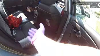 Wisconsin police hit back at social media video accusing officer of 'planting evidence'