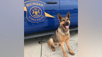 Police K9 killed after suspected drunk driver hits Michigan State Police vehicle