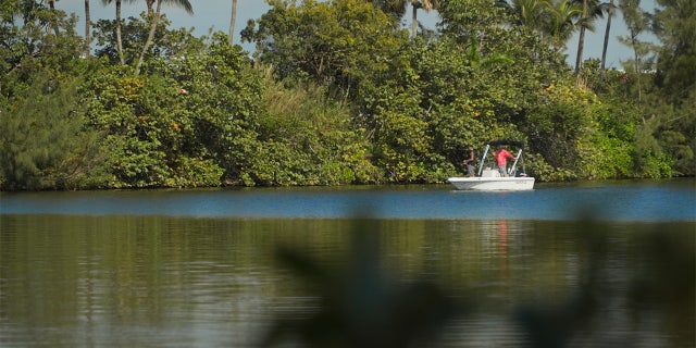 The Everglades played a crucial role in the 'Alligator God' episode of Oxygen's 'Florida Man Murders.'