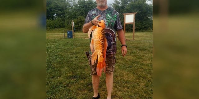 The Missouri Department of Conservation posted about a local catching a large goldfish that had apparently been dumped in the wild.