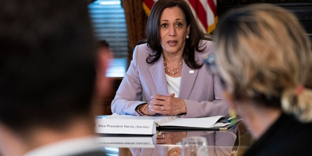 Vice President Kamala Harris meets with LGBTQ stakeholders, Wednesday, June 23, 2021, in her ceremonial office on the White House complex in Washington. (AP Photo/Jacquelyn Martin)