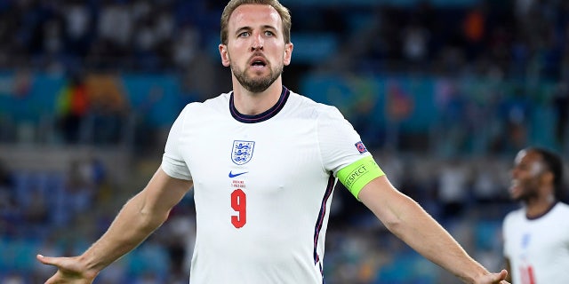 Harry Kane celebrates