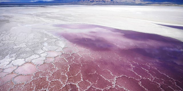 Pink water washes over a salt crust on May 4, 2021, along the receding edge of the Great Salt Lake. The lake has been shrinking for years, and a drought gripping the American West could make this year the worst yet. 