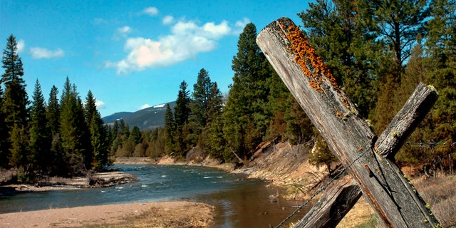 This April 26, 2006, file photo, shows Jacobsen Creek, a tributary of the North Fork of the Blackfoot River near Ovando, Mont. Authorities say a grizzly bear attacked and killed a person who was camping in the Ovando area early Tuesday, July 6, 2021. ( Jennifer Michaelis/The Missoulian via AP, FIle)