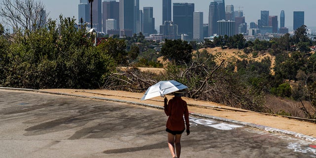 Athlete Sam Richardson uses a UV-Blocking Sun protection umbrella while speed-walking in Elysian Park in Los Angeles Wednesday, July 7, 2021. High heat and record temperatures are expected across the West this weekend. In California's Death Valley, about 150 miles west of Las Vegas, temperatures could reach 130 (54 C). Forecasters warned that much of California will see dangerously hot weekend weather, with highs in triple digits in the Central Valley, mountains, deserts and other inland areas because of strengthening high pressure over the state. Heat warnings did not include major coastal populations. (AP Photo/Damian Dovarganes)