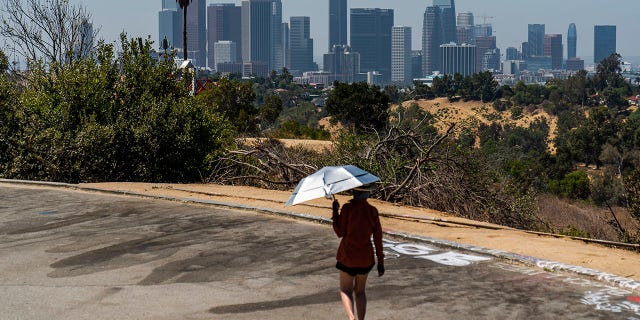 Athlete Sam Richardson uses a UV-Blocking Sun protection umbrella while speed-walking in Elysian Park in Los Angeles Wednesday, July 7, 2021. High heat and record temperatures are expected across the West this weekend. In California's Death Valley, about 150 miles west of Las Vegas, temperatures could reach 130 (54 C). Forecasters warned that much of California will see dangerously hot weekend weather, with highs in triple digits in the Central Valley, mountains, deserts and other inland areas because of strengthening high pressure over the state. Heat warnings did not include major coastal populations. (AP Photo/Damian Dovarganes)