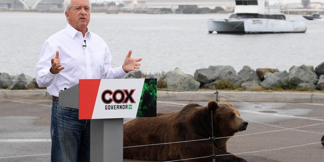 In this May 11, 2021, file photo California gubernatorial candidate John Cox speaks in front of his Kodiak bear at a campaign event held on Shelter Island in San Diego. Cox was the Republican nominee for governor in 2018 and lost to Newsom in a landslide. This time around the multimillionaire businessman has displayed a showman’s instincts. (AP Photo/Denis Poroy, File)