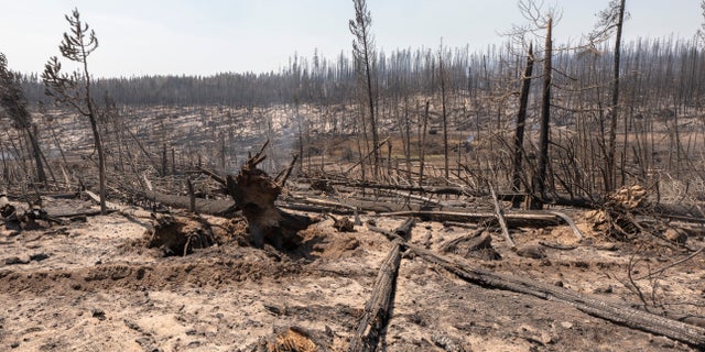 Area damaged by the Bootleg Fire smolders near the Northwest edge of the blaze on Friday, July 23, 2021, near Paisley, Ore. (AP Photo/Nathan Howard)