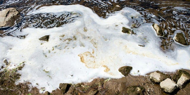 In this June 7, 2018, file photo, PFAS, or perfluoroalkyl and polyfluoroalkyl substances, foam gathers at the the Van Etten Creek dam in Oscoda Township, Mich., near Wurtsmith Air Force Base.