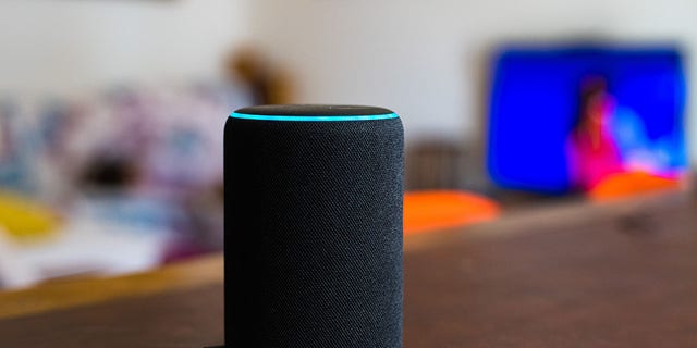 Amazon Alexa smart device