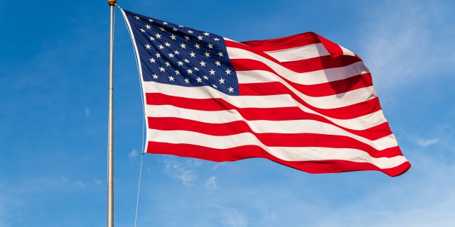 U.S. Army Veteran Buddy Laddin raised the flag at an event hosted at the New Orleans Veterans Medical Center over the holiday weekend.