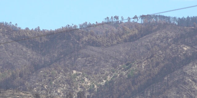 So far this year Arizona has seen 1,173 fires burn more than 551,898 acres of land. The Telegraph Fire, just east of Phoenix, is one of the states largest, burning more than 180,000 acres (Stephanie Bennett/ Fox News).