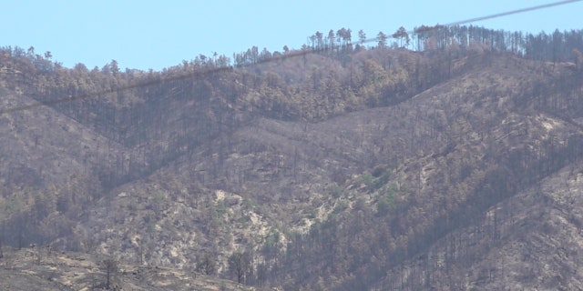 So far this year Arizona has seen 1,173 fires burn more than 551,898 acres of land. The Telegraph Fire, just east of Phoenix, is one of the states largest, burning more than 180,000 acres (Stephanie Bennett/ Fox News).