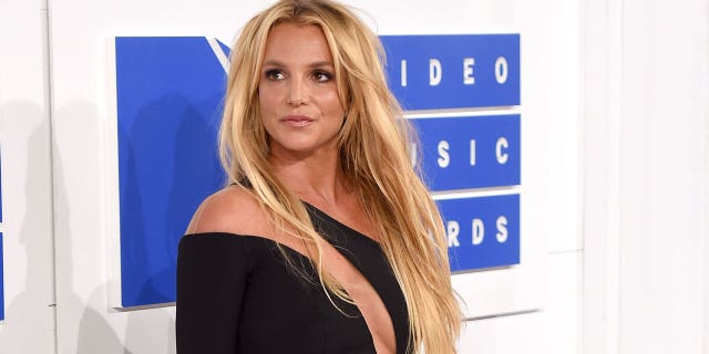 Britney Spears revealed in court in June that she wants to have more children one day.