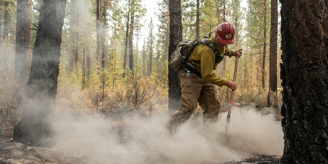 Firefighter Garrett Suza, of the Chiloquin Forest Service, clears a hot spot on the northeast side of the Bootleg fire on Wednesday, July 14, 2021, near Sprague River, Oregon (AP)