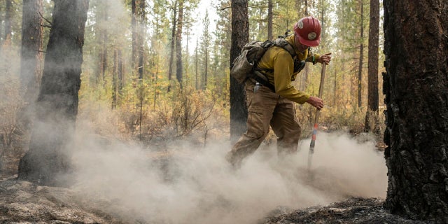 Firefighter Garrett Suza, with the Chiloquin Forest Service, mops up a hot spot on the North East side of the Bootleg Fire, Wednesday, July 14, 2021, near Sprague River, Ore. (AP)