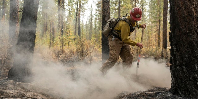 Firefighter Garrett Suza, of the Chiloquin Forest Service, clears a hot spot on the northeast side of the Bootleg fire on Wednesday, July 14, 2021, near Sprague River, Oregon (AP)