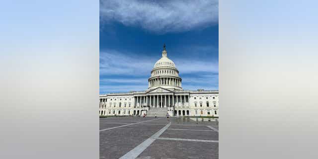 Members of the public began to walk around Capitol grounds, after being barred for months after the Jan. 6 riot. (Kelly Laco/Fox News)