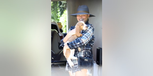 Chrissy Teigen brings her new basset hound puppy, Pearl, along for a visit to her office in Santa Monica.