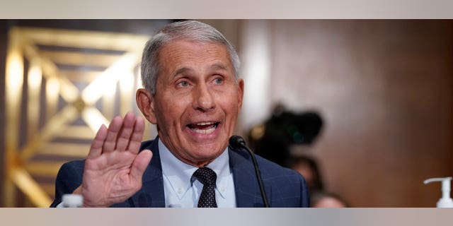 Dr. Anthony Fauci, director of the National Institute of Allergy and Infectious Diseases, responds to questions by Senator Rand Paul during the Senate Health, Education, Labor, and Pensions Committee hearing on Capitol Hill in Washington, DC on July 20, 2021.