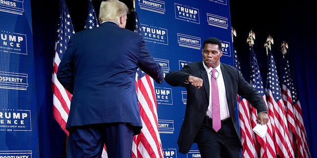 Then-President Donald Trump is greeted by NFL Hall of Fame member Herschel Walker during an event for black supporters at the Cobb Galleria Center on September 25, 2020 in Atlanta, Georgia.  (Photo by Brendan Smialowski / AFP) (Photo by BRENDAN SMIALOWSKI / AFP via Getty Images)