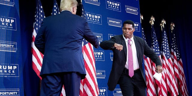 Then-President Donald Trump is greeted by NFL Hall of Fame member Herschel Walker during an event for black supporters at the Cobb Galleria Center on September 25, 2020 in Atlanta, Georgia.  (Photo by Brendan Smialowski / AFP) (Photo by BRENDAN SMIALOWSKI / AFP via Getty Images)