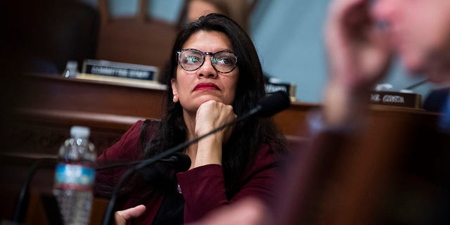 Rep. Rashida Tlaib pocketed up to $50,000 from renting out a Detroit property in 2021.