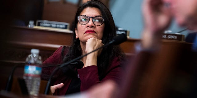 Rep. Rashida Tlaib, D-Mich., attends the House Natural Resources Committee hearing Examining the Department of the Interior's Spending Priorities and the President's FY2022 Budget Proposal.