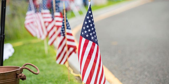 CORONADO, CALIFORNIA - JULY 03: American flags decorating a street side in 2021. (Photo by Daniel Knighton/Getty Images)