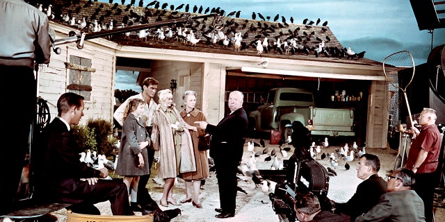 Veronica Cartwright starred in ‘The Birds,' which was directed by Alfred Hitchcock.