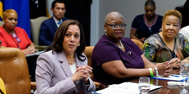 Vice President Kamala Harris speaks during a meeting with women leaders on voting rights in the Roosevelt Room of the White House, Friday, July 16, 2021, in Washington. (AP Photo/Patrick Semansky)