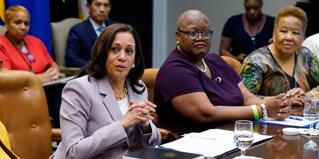 Vice President Kamala Harris speaks during a meeting with women leaders on voting rights in the Roosevelt Room of the White House, Friday, July 16, 2021, in Washington. (AP Photo/Patrick Semansky)